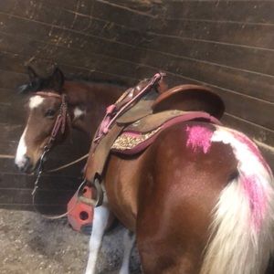 Meet your Posher, Grace